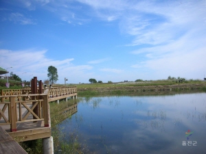 왕피천 생태공원