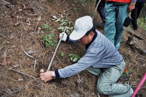 송이생태 관찰장