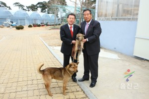 청와대 진도개 인수