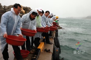 볼작 참돔 방류