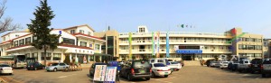 군청 전경