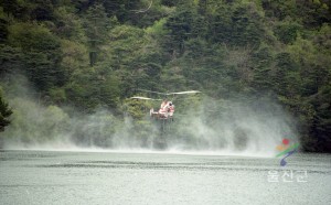 산불