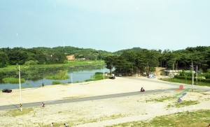 보도사진