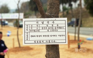 새천년 생명의 숲가꾸기