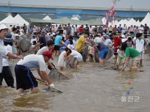 2005 친환경농업엑스포