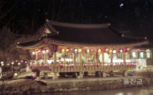2002 시종타종식