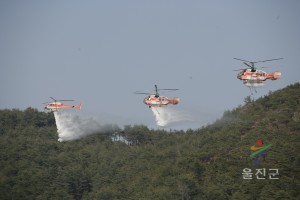 산불훈련