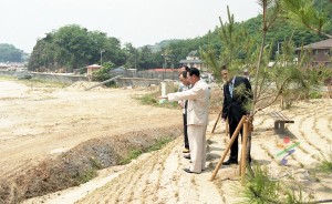 새천년 생명의 숲 조성