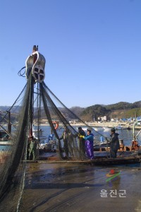 그물작업