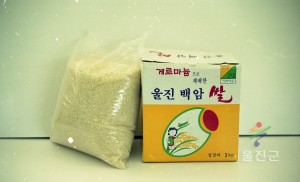 게르마늄쌀