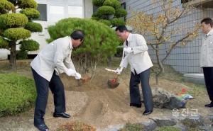 기념식수