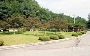 도화동산