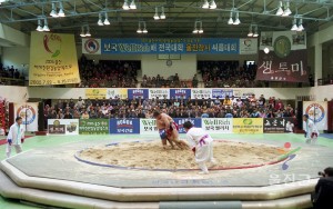 씨름대회