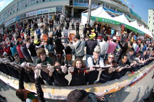 2007 울진대게축제 김밥말기