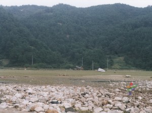 태풍매미