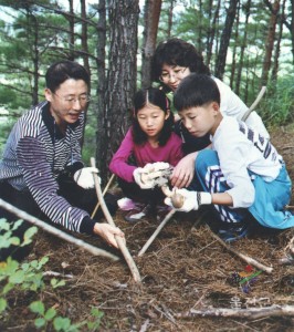 제5회 송이축제
