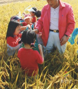 메뚜기 잡기 대회