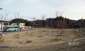새천년 생명의 숲 조성