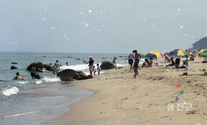 해수욕장