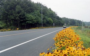 10개 읍면 꽃 생명의 숲 조성