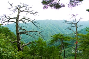 여름응봉산