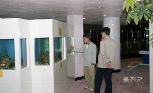 민물고기 전시관 및 행곡 처진소나무