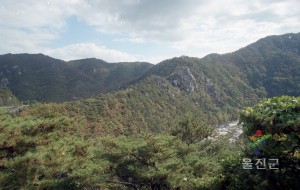 단풍사진
