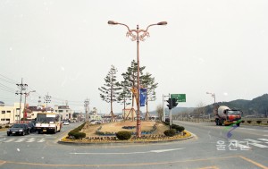 보도사진 촬영(벚꽃)