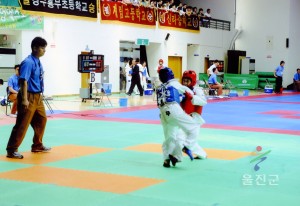 제38회 경상북도 교육감기타기 태권도 대회