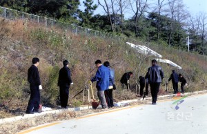 숲 가꾸기 조성