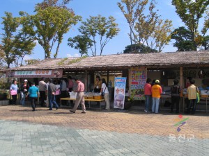 송이판매장터