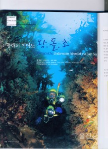 왕돌초