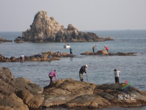 왕돌초(바위닦기)