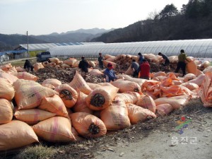 산림부산물