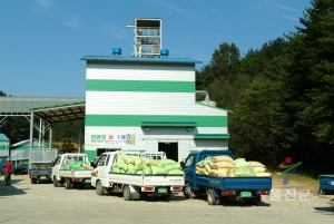 추곡수매