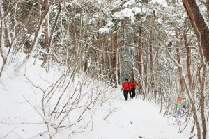 겨울 응봉산