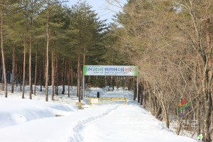 겨울 소광리