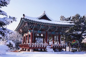 겨울망양정