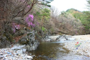 봄 소광리