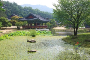 여름불영사