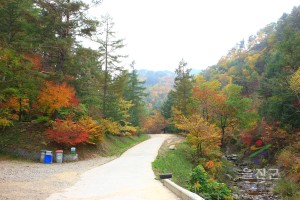 가을 통고산