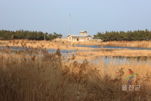 월송정 주변 에덴의동쪽 촬영지