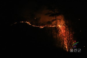 산불-기성방율