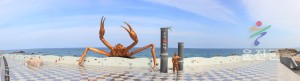 대게동상