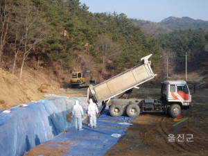 구제역 살처분