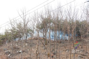 기성 정명리 산불