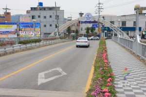 제49회 경북도민체전 준비