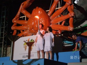 2011도민체전