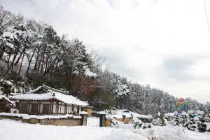 신화1리 설경