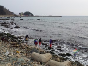 미역채취